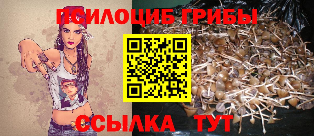 цены наркотик  Вход с VPN  Бахчисарай  Галлюциногенные грибы Psilocybine cubensis  Галлюциногенные грибы Psilocybine cubensis 