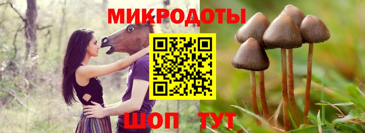Псилоцибиновые грибы мицелий Бахчисарай
